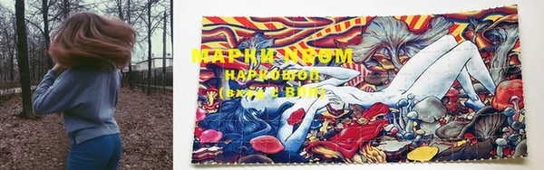 ПСИЛОЦИБИНОВЫЕ ГРИБЫ Алексин
