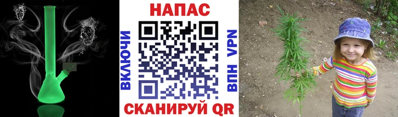как найти закладки  Вилючинск  Каннабис ГИДРОПОН 